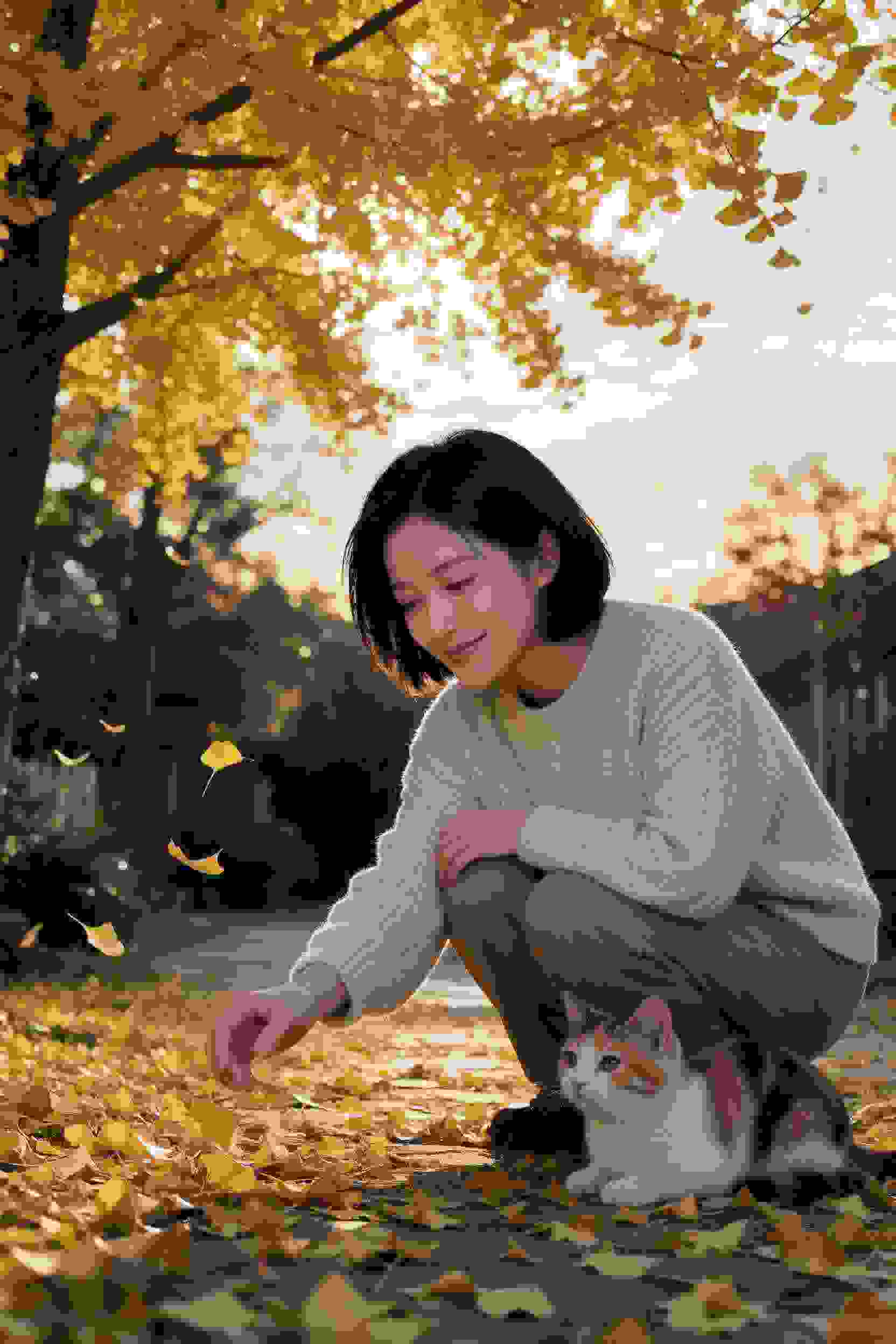 梦里花落知多少